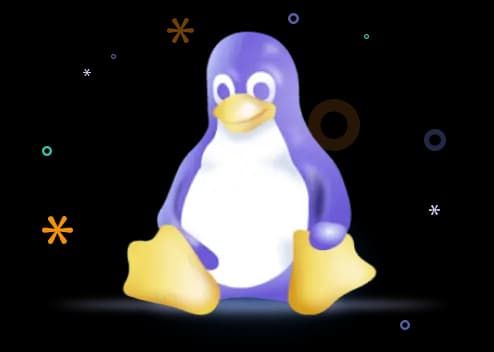 هاست لینوکس