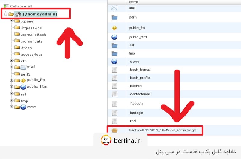 دانلود فایل بکاپ هاست در سی پنل