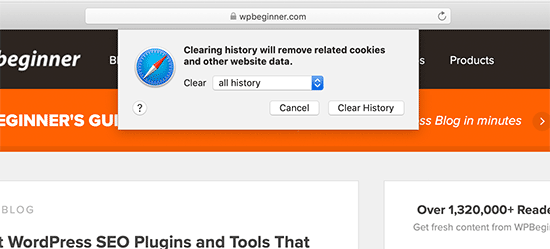clear all data in safari
