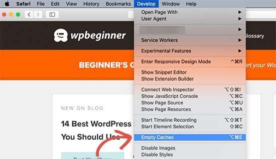 empty cache developer mode 