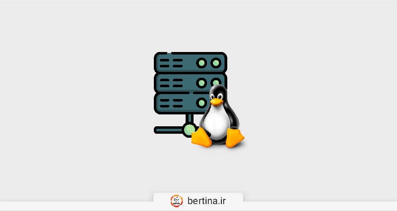 مقایسه کنترل‌پنل‌های هاست ویندوز و هاست لینوکس